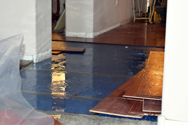 Professional Basement Flood Cleanup technician working in Mendenhall, MS